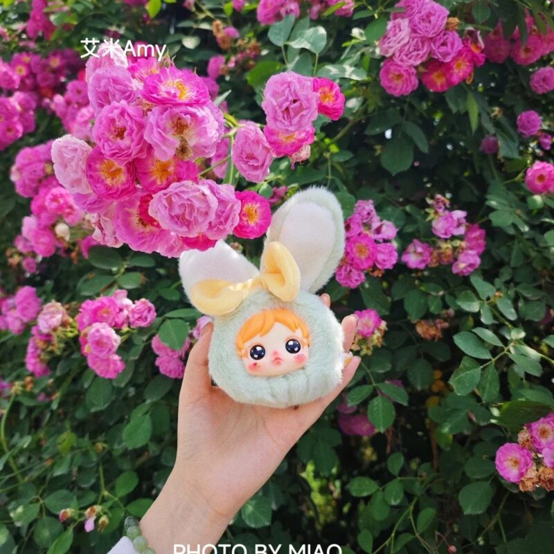 Amy's little rabbit